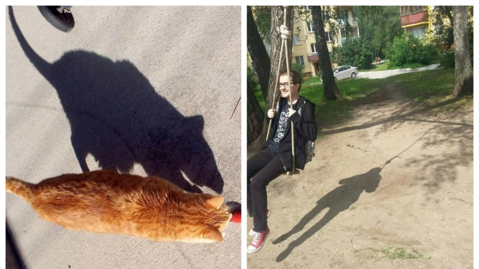 Překvapivé stíny
